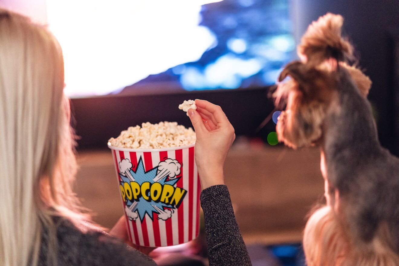 Wieso Riechen Hundepfoten Nach Popcorn Warum riechen Hundepfoten nach Popcorn? | inpetso